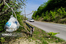 زخمهایی بر طبیعت 