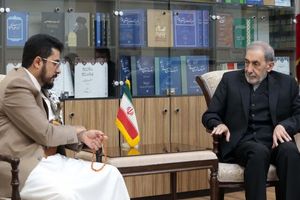 در دیدار ولایتی با سفیر انصارالله یمن، بر وحدت جبهه مقاومت تأکید شد