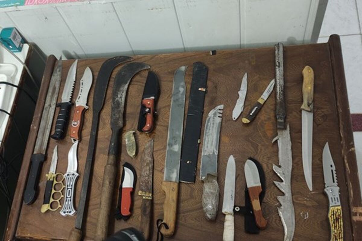 کشف سلاح سرد