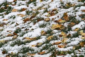 کاهش ۱۶ درجه‌ای دمای هوا در استان گلستان