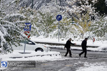 تمام مدارس تهران یکشنبه ۲۹ دی تعطیل شد