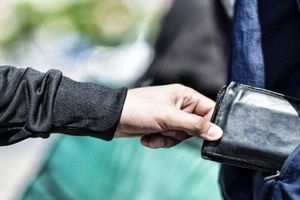  ۴۳ فقره سرقت در طرح مقابله با سارقان کشف شد