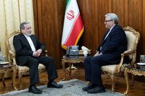 تأکید عراقچی بر گسترش همکاری‌های اقتصادی و کنسولی با امارات و افغانستان