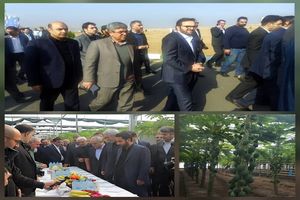 بازدید مدیرعامل بانک کشاورزی و وزیر اقتصاد از پروژه راهبردی «گوزل طبیعت ارس»