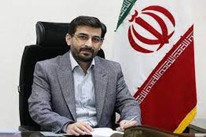 از تمام ظرفیتهای قانونی در جهت حمایت از سرمایه گذاران استفاده می کنیم