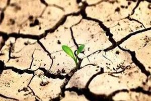 لزوم وفاق ملی برای حفظ منابع آبی