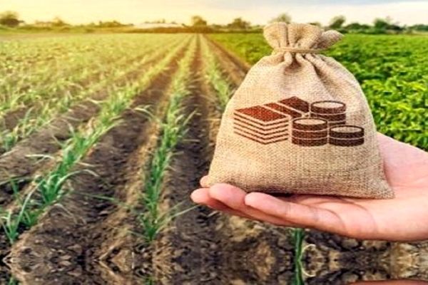 سهم صندوق بیمه کشاورزی در بودجه ۱۴۰۵ تعیین شد