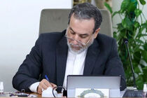 وزیر خارجه درگذشت آیت‌الله فیاض را تسلیت گفت