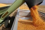 حمل مصالح ساختمانی نسبت به سال گذشته ۵۸ درصد و حمل گندم ۴۱ درصد رشد داشته است
