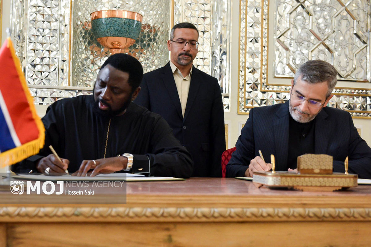 دیدارهای امروز سرپرست وزارت امور خارجه