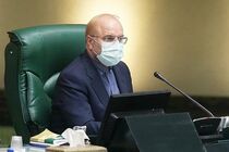 مجلس به مجوزهای رانتی پایان داد/ امیدوارم نمایندگان به طرح شفافیت آرا رای دهند