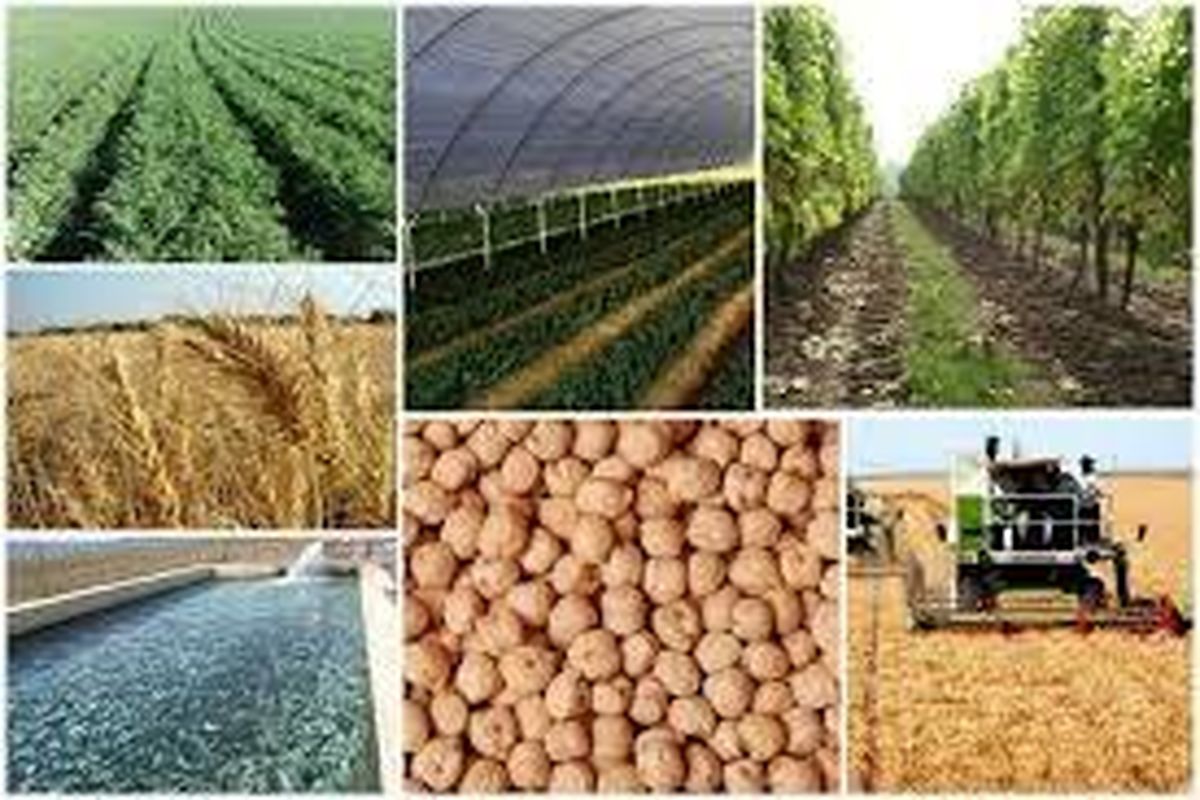 محصولات کشاورزی 