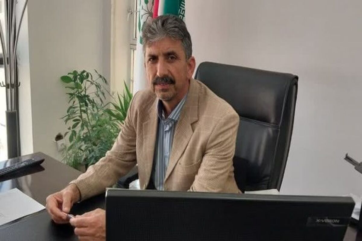 بیگی 