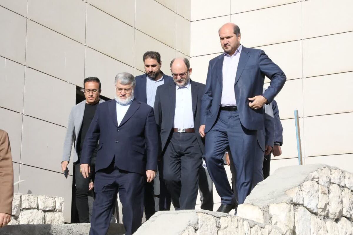 بازدید