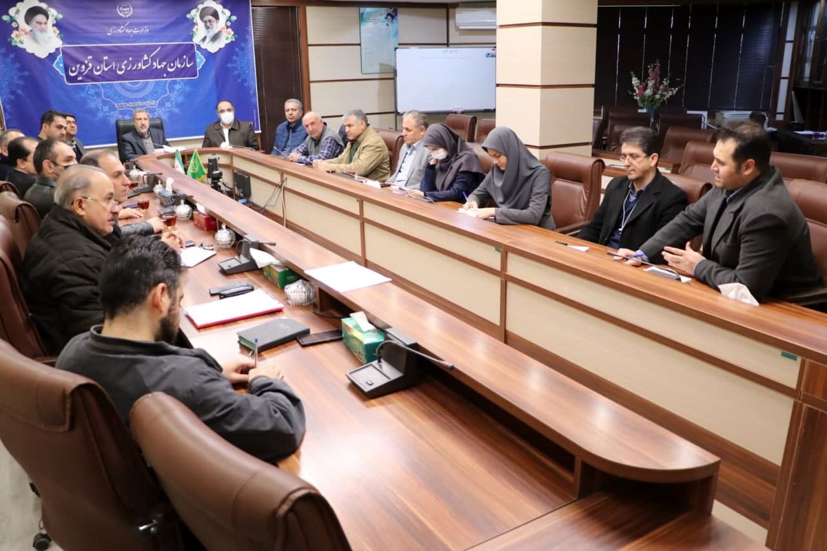 جهاد کشاورزی مرغ