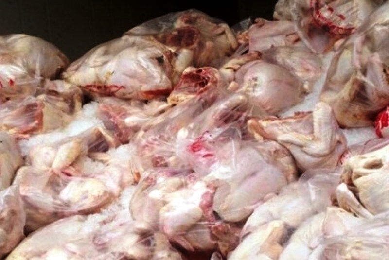 کشف ذبح و بسته بندی غیر بهداشتی گوشت مرغ در اصفهان/ معدوم سازی 1400 کیلوگرم گوشت مرغ