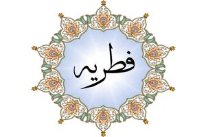 ۸۰۰ پایگاه برای دریافت فطریه و کفاره مردم استان یزد اقدام کردند