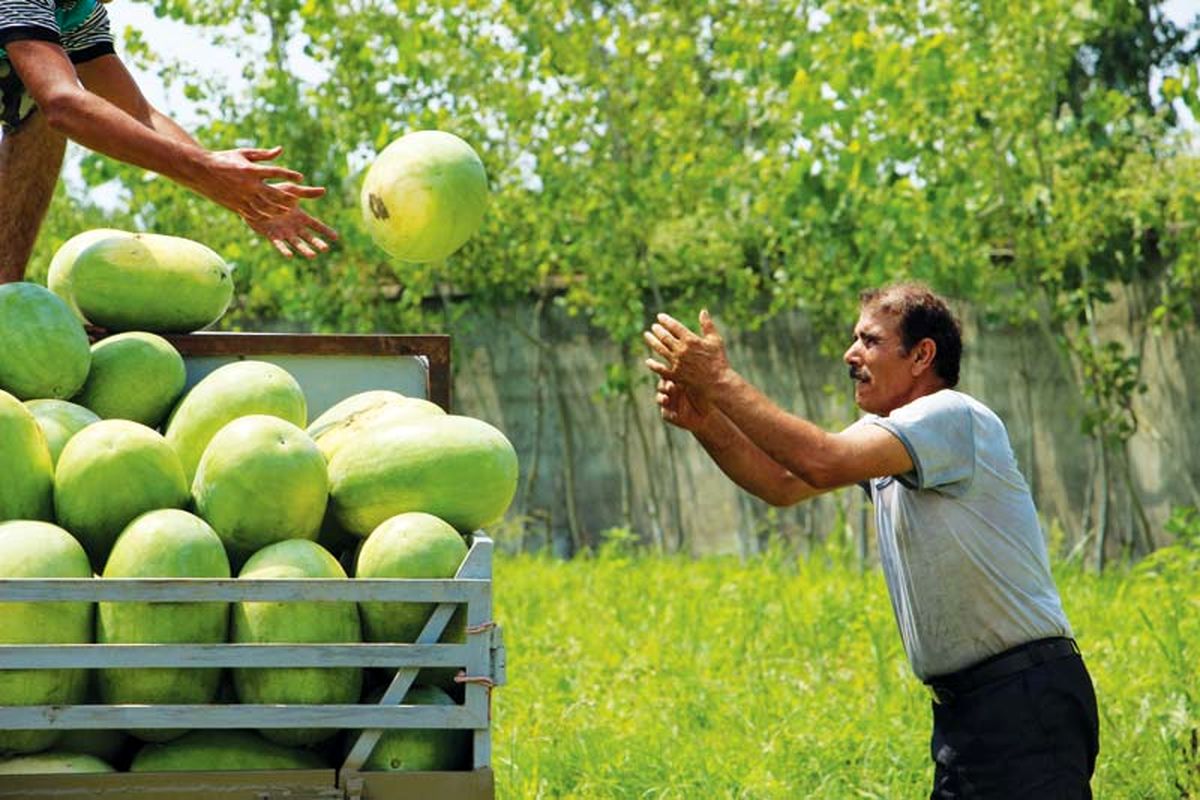 محصولات آب دوست