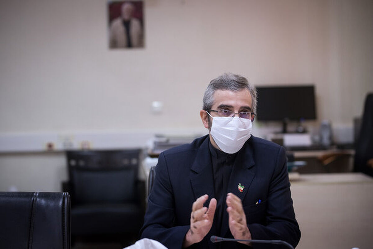 باقری کنی
