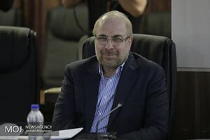 مجلس برای حمایت از مردم اقدامات فوری و ملموس را در دستور کار دارد
