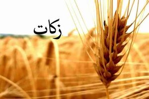 تحقق ۸۰ درصدی تعهد زکات در چهارمحال و بختیاری