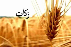 تحقق ۸۰ درصدی تعهد زکات در چهارمحال و بختیاری