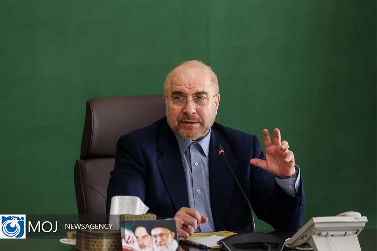 دیدار جمعی از جوانان با رییس مجلس