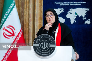 واکنش سخنگوی دولت به شایعه رفع فیلتر تلگرام + فیلم