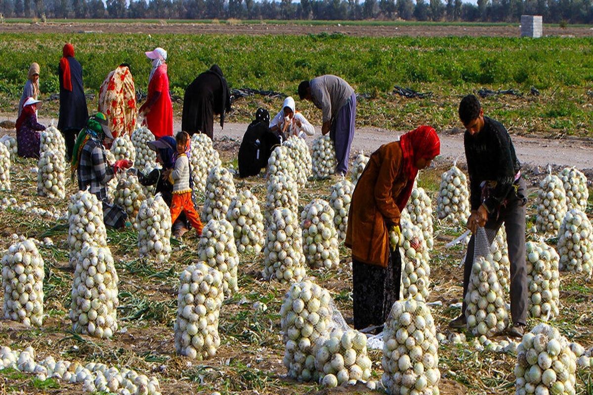 اشتغال زایی روستایی 