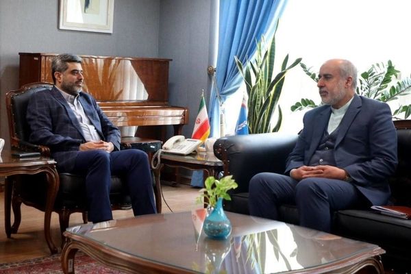 مشاور وزارت امور خارجه با مدیرعامل بنیاد رودکی دیدار کرد