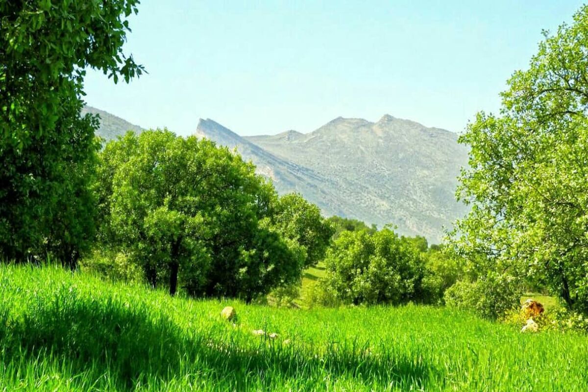 ایلام