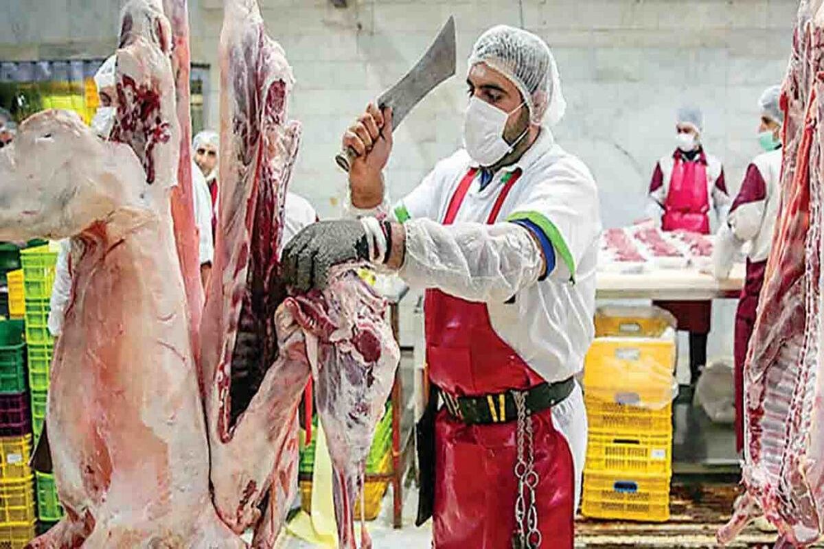 قیمت+گوشت+قرمز