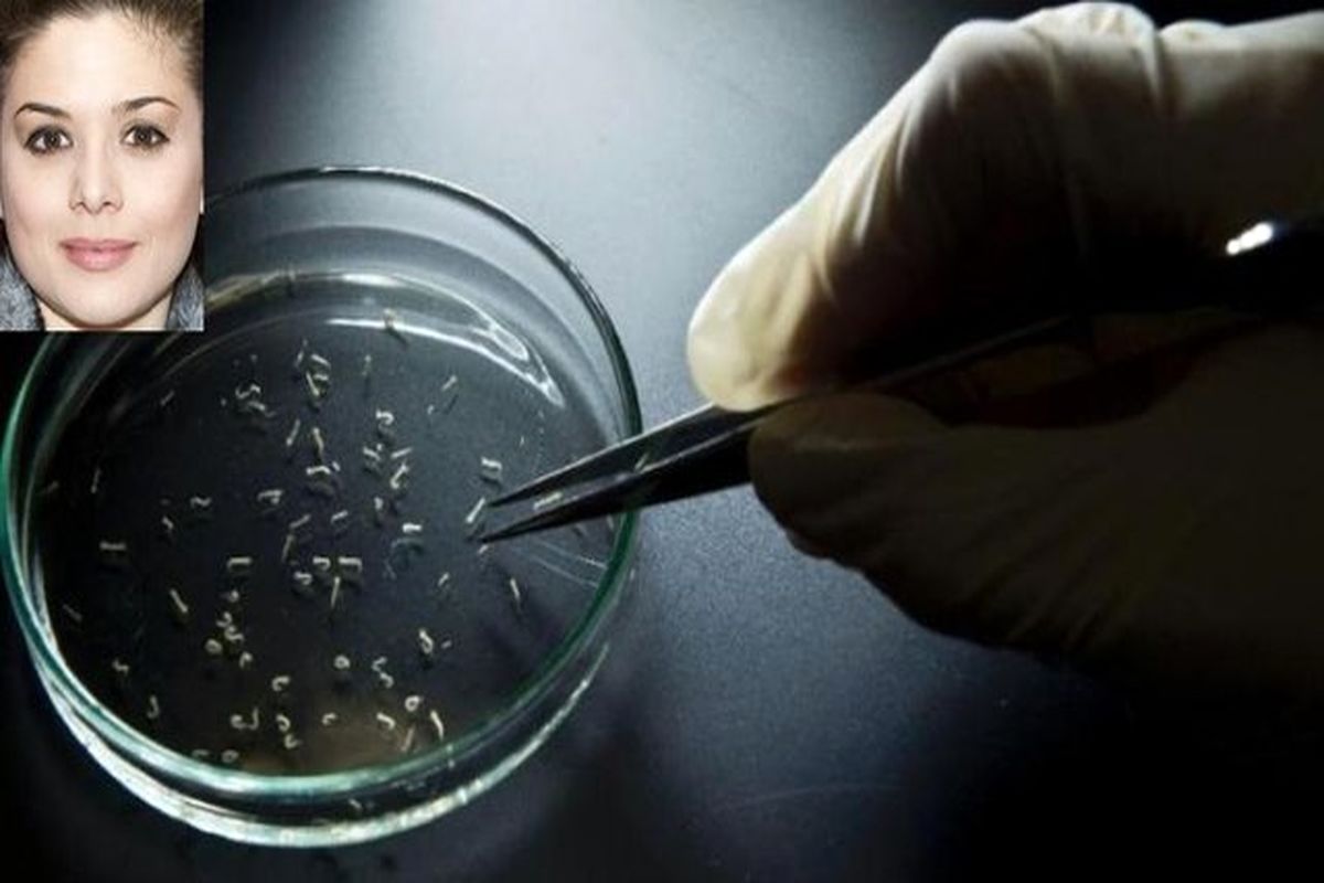 محقق ایرانی