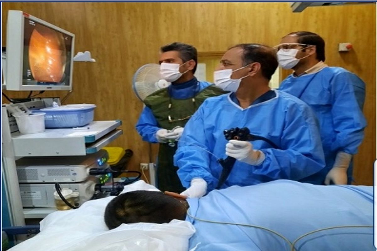 دانشگاه کاشان