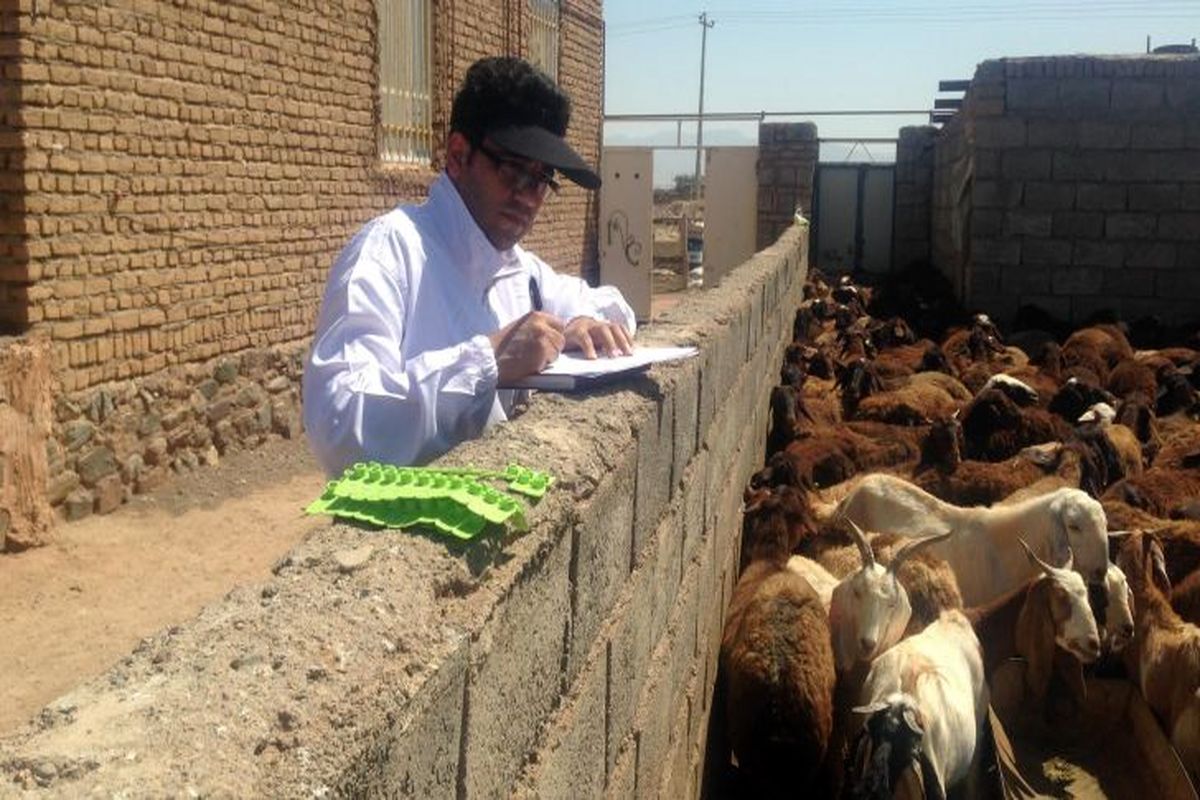  پوشش بیمه دام 