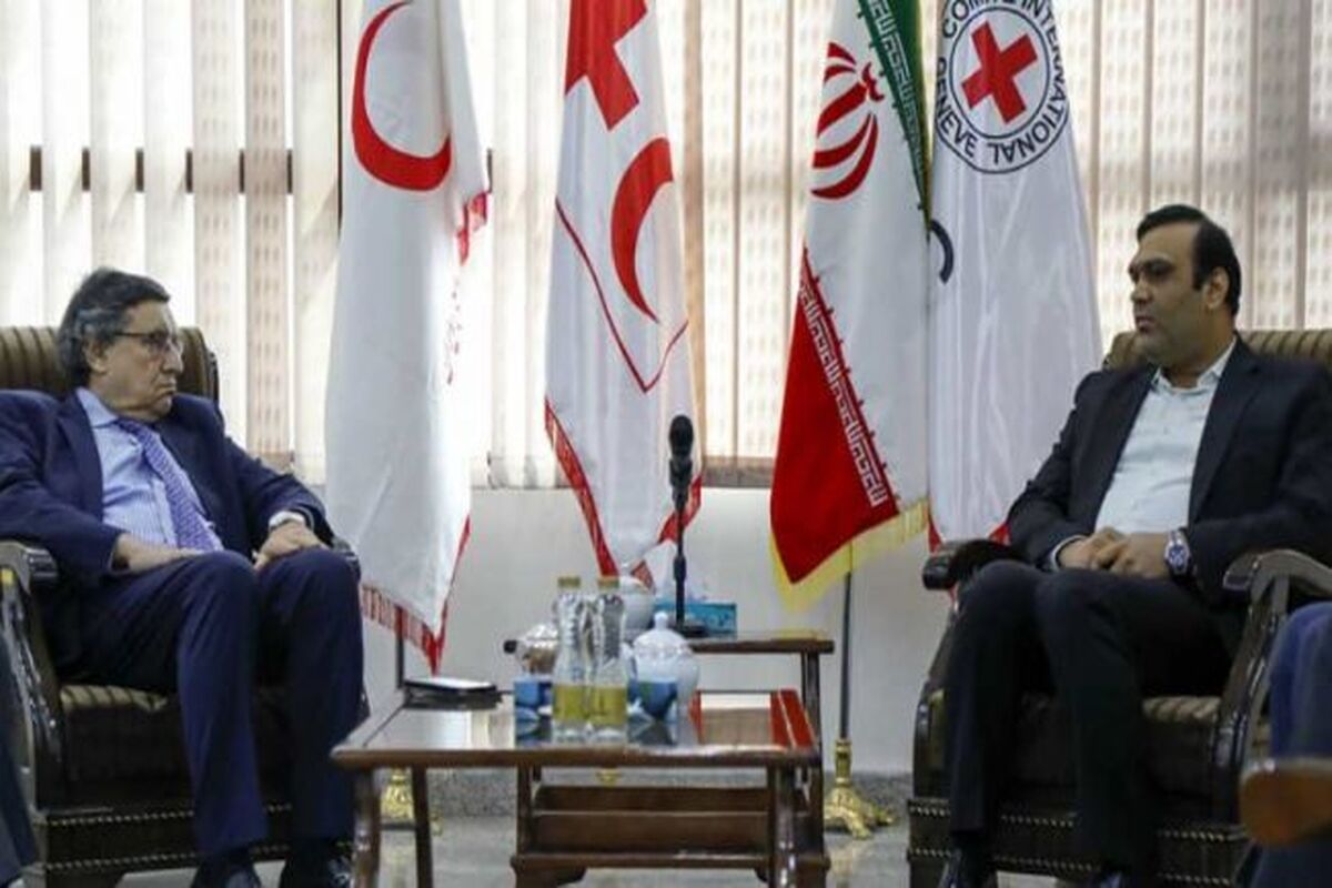 محمدی نسب