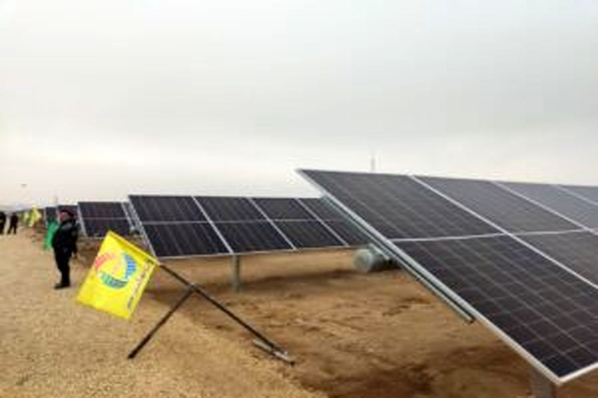 IMG_20250107_200141_796-300x225