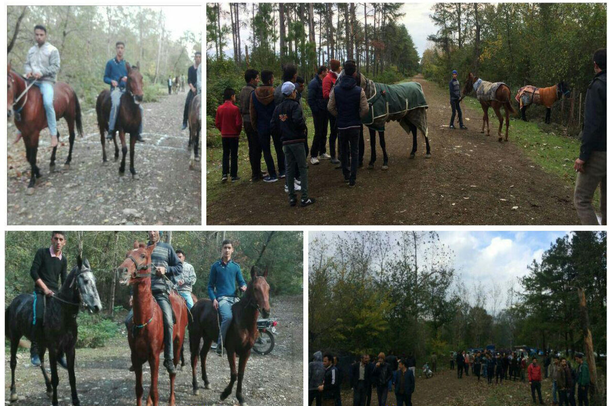 سوار کاری
