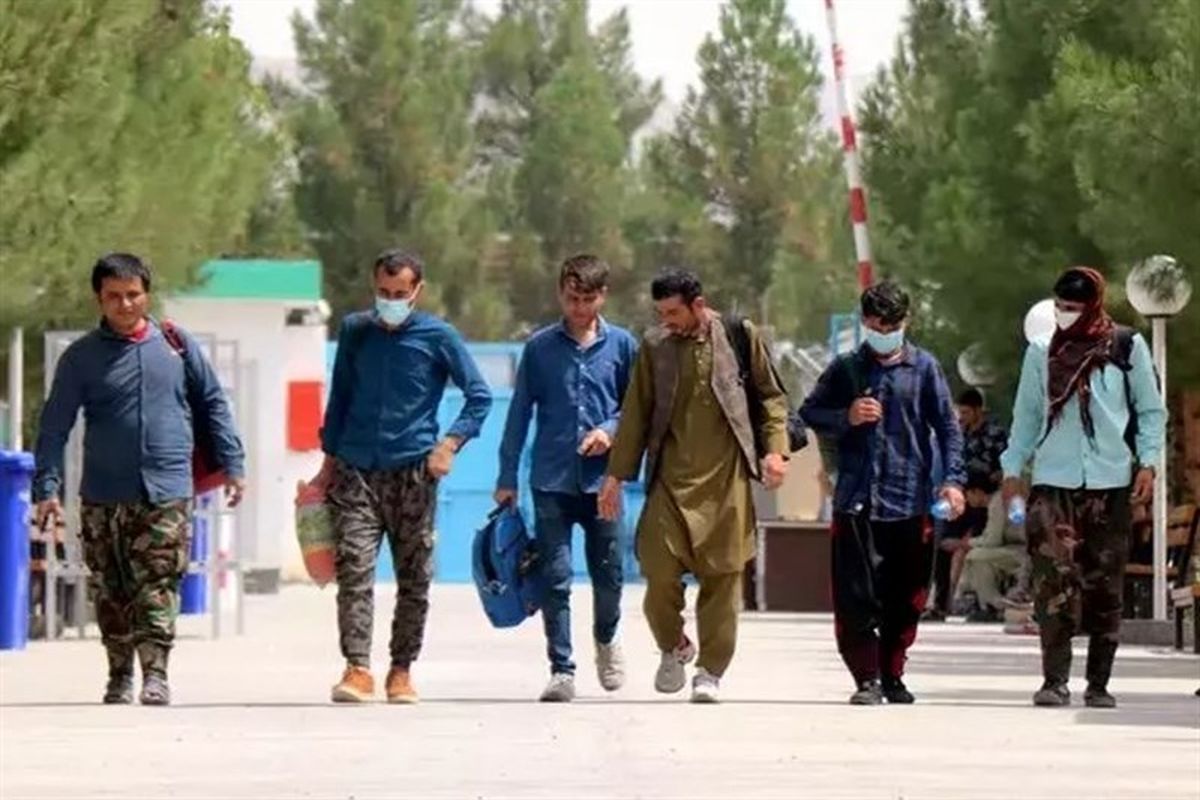 پناهجویان