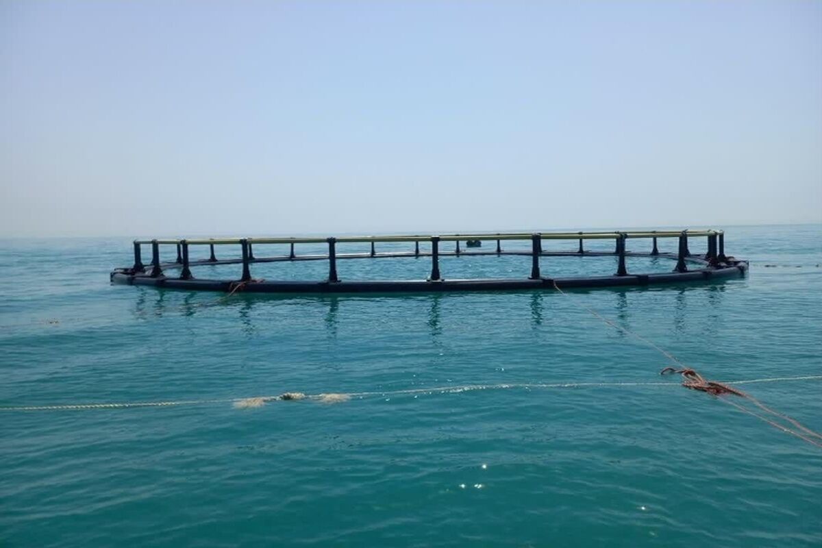 پرورش ماهی