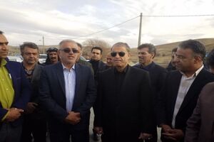 تولید یک میلیارد اصله نهال در کشور هدفگذاری شد