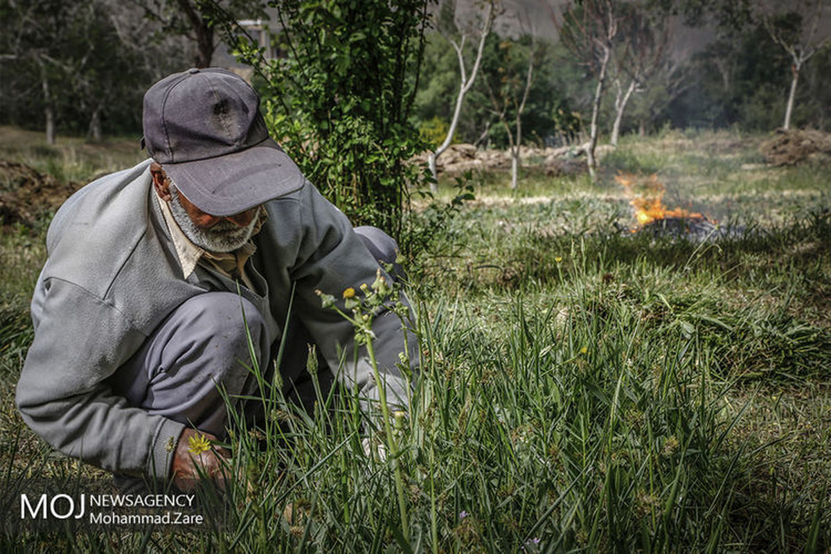 روستای+جل+اکبر+ساوه