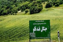 اختصاص 6 میلیارد تومان اعتبار برای بازسازی جاده گردشگری فندقلو