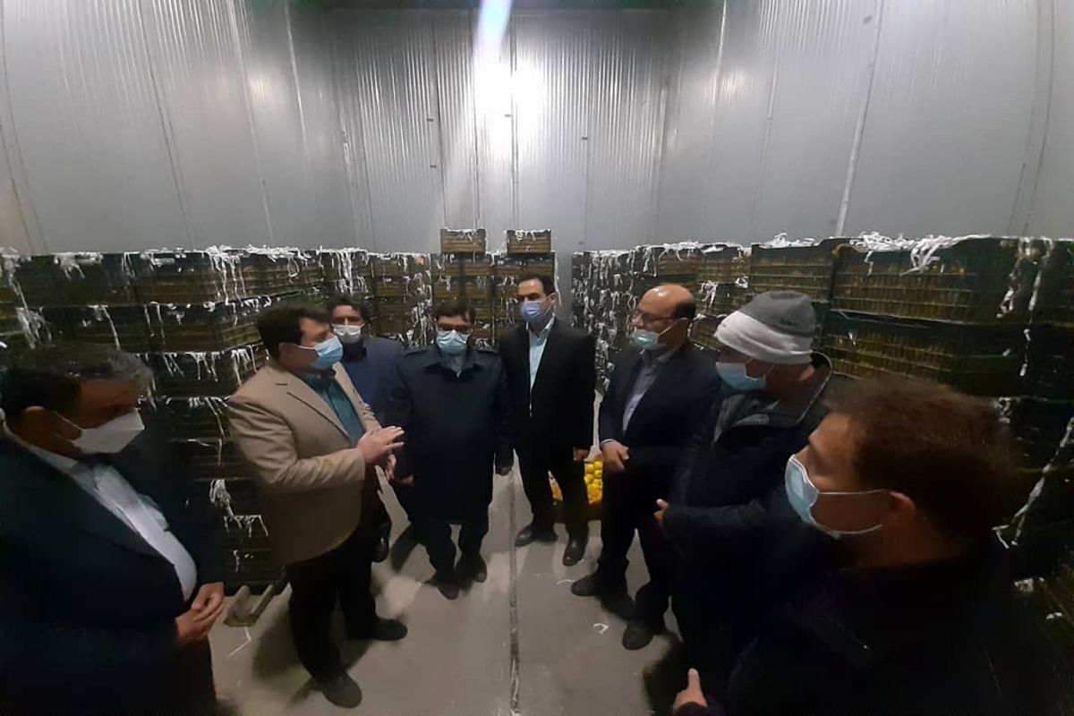 بازدید بازرس کل استان