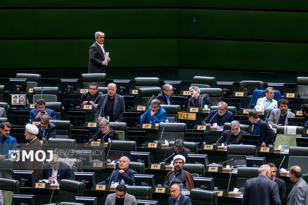 مجلس اعمال هرگونه محدودیت برای برگزاری راهپیمایی را ممنوع اعلام کرد