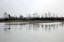 دستگیری فردی که در خارج از روز مجاز صید، به شکار رفت