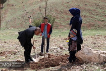 طرح کاشت یک میلیارد درخت با قوت پیگیری می‌شود