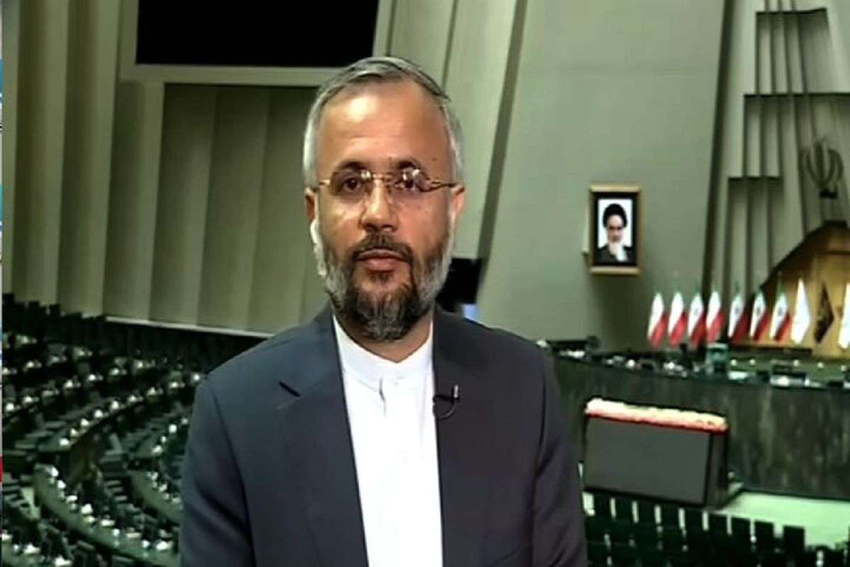 معاون اجرایی مجلس شورای اسلامی