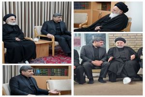  معاون فرهنگی معاون اول رئیس‌جمهور با علما و مراجع عظام تقلید دیدار کرد