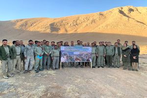 ادامه اجرای برنامه سرشماری تابستانه گونه‌های شاخص حیات‌وحش در چهارمحال‌وبختیاری